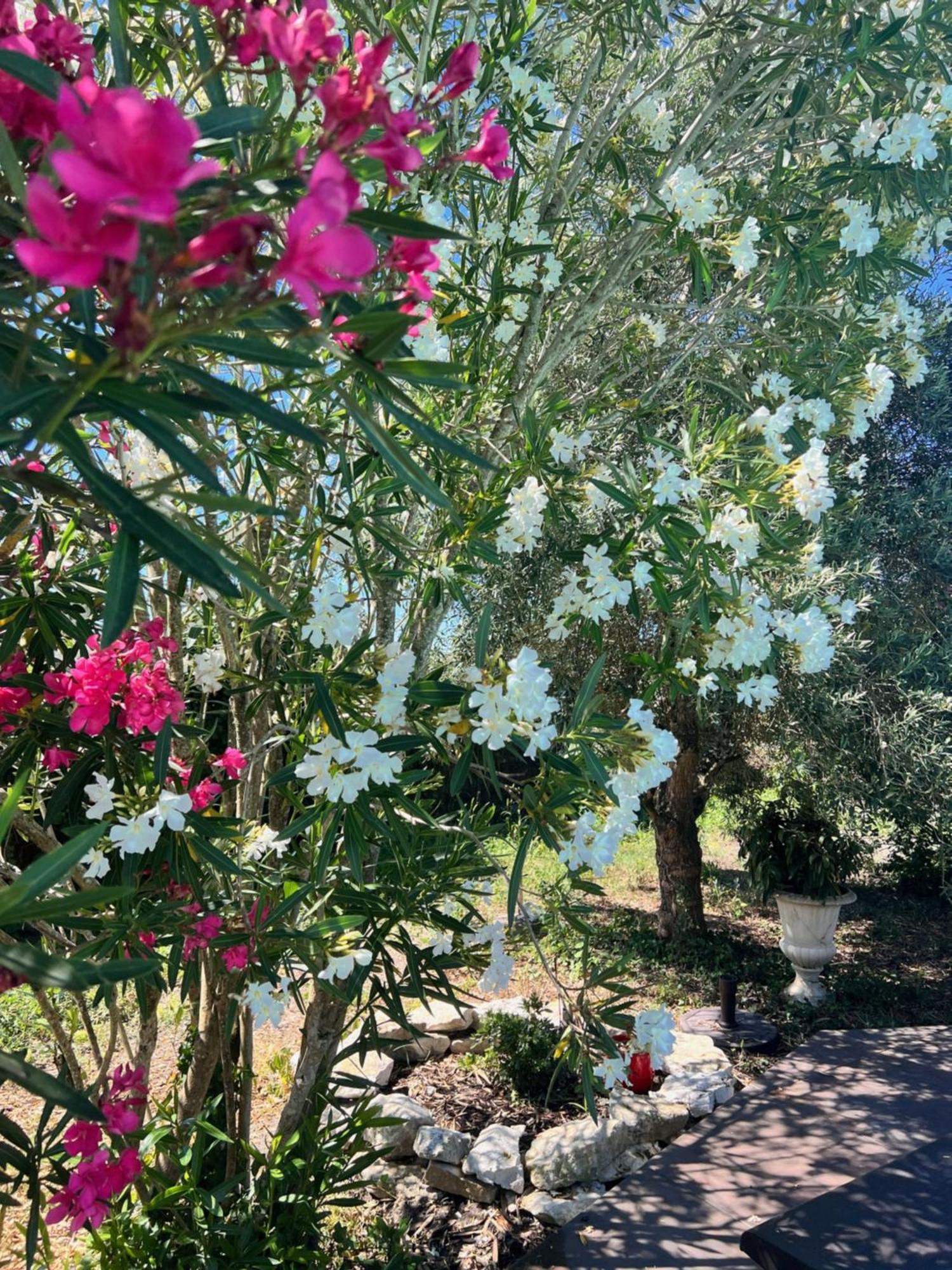 Le Relais Des Chateaux Βίλα Margaux-Cantenac Εξωτερικό φωτογραφία